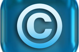 저작권과 전략적혁신경영