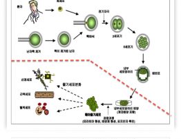 이상한제보자 부끄러운이야기